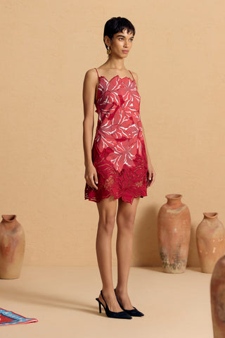 Crimson Floraison Appliqué Dress