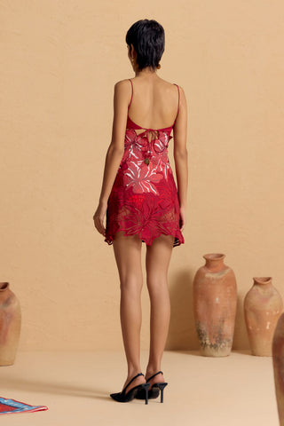 Crimson Floraison Appliqué Dress