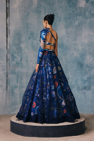 Springlie Fleureole Embellished Lehenga