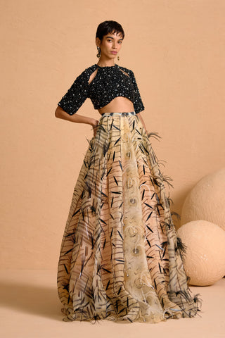 Noir Plume Appliqué Lehenga with Beaded Cut-Out Blouse