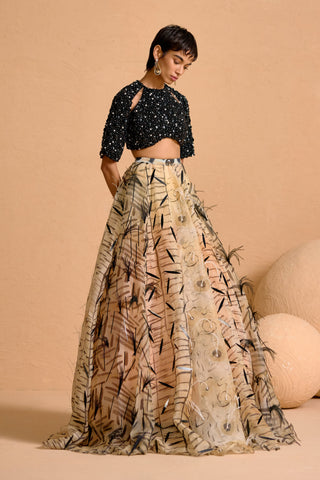Noir Plume Appliqué Lehenga with Beaded Cut-Out Blouse