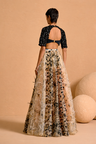 Noir Plume Appliqué Lehenga with Beaded Cut-Out Blouse