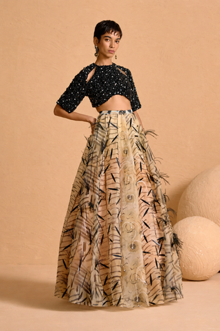 Noir Plume Appliqué Lehenga with Beaded Cut-Out Blouse