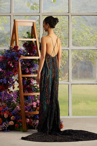 Onyx Rosa Celeste Gown with Trail