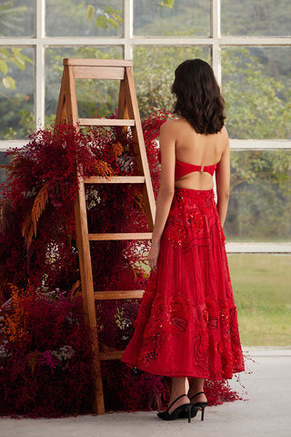 Crimson Glory Corset with Ornate Midi Skirt