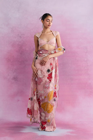 Blush Fleur Applique Tailored Sari with Embellished Blouse