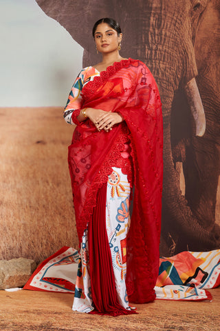 Surocco & Coccinella Fern Skein Tailored Sari