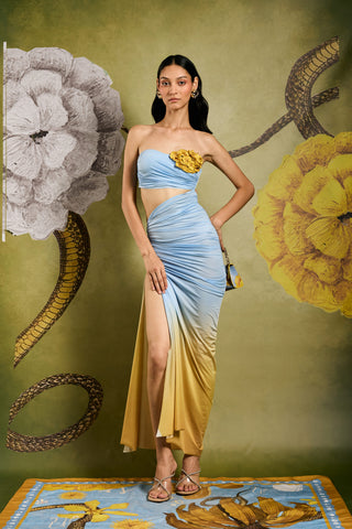 Shivan & Narresh Ombre draped gown with floral applique; Ombre color; Women celebration wear; Evening gowns