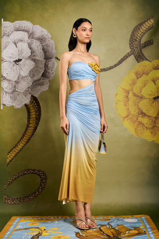 Ombre Draped Gown with Floral Applique