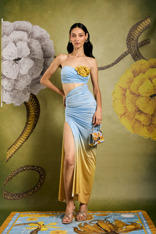 Ombre Draped Gown with Floral Applique