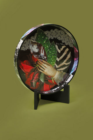 BotanEye Rondelle Tray - Medium