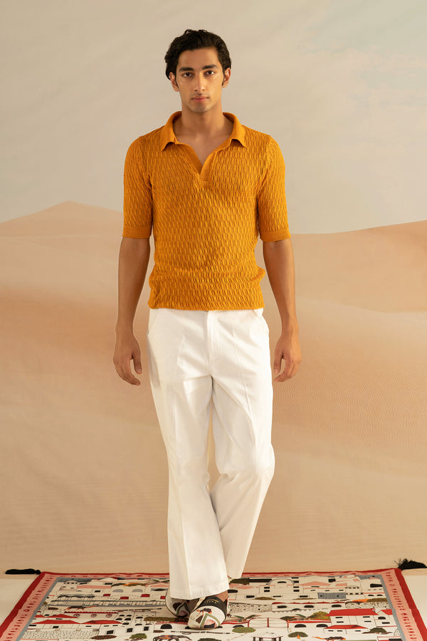 Shivan and Narresh Jaiscape Knitted Polo; Yellow Colour; Men T-shirt