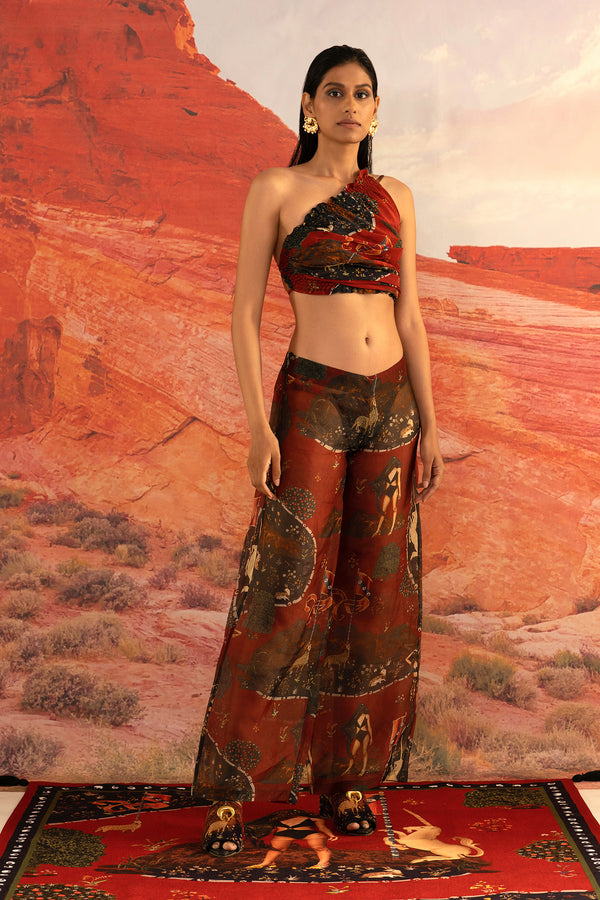 Shivan and Narresh Wilding Palazzos; Multi Colour; Women Printed Trouser;